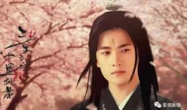 刘亦菲杨洋爆料视频,幕后真相引热议