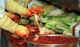 辣白菜爆料新闻报道视频,揭秘视频背后的惊人真相